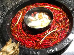 -蜀大侠火锅(东园路店)