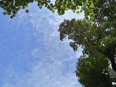 -晓港公园