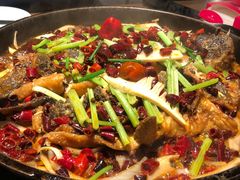 -老板恋上鱼(印象城店)