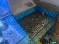 -面道赞宁海海鲜面(迎凤街店)