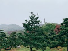 -四明山国家森林公园