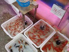 -双季花艺园艺市场(浦东店)