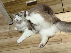 -听TA说宠咖·宠物生活馆(天韵水岸店)