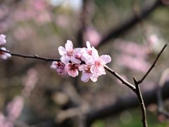 -静安雕塑公园