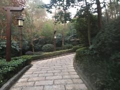 -天目湖涵田半山温泉