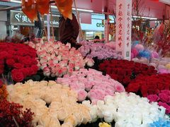 -越秀西湖花市(广州城市广场花卉店)