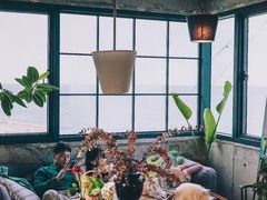 -Cafe Rooftop Cheongsapo