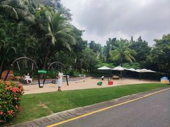 -深圳国际园林花卉博览园