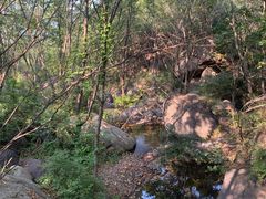 -云岫谷游猎自然风景区