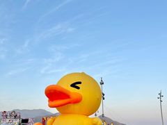 -西涌国际滨海旅游区