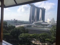 -新加坡丽思卡尔顿美年酒店