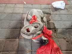 -清真·二嫂子煎饼果子(鼓楼旗舰形象店)