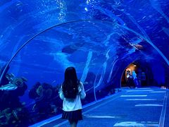 -成都浩海立方海洋公园