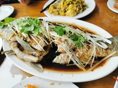 -微山岛春天里酒家