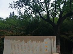 -习家池