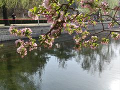 -海棠花溪(元大都城垣遗址公园)