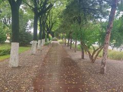 -汉长安城未央宫国家考古遗址公园