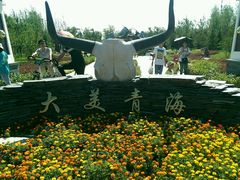 -武清南湖绿博园