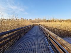 -马家湾湿地公园