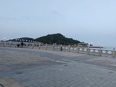 -野狸岛