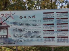 -大兴滨河森林公园