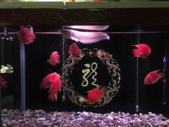-明州小宴(文化广场店)