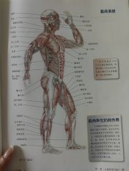 -AN普拉提女子健身工作室