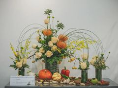 -上海滨江森林公园