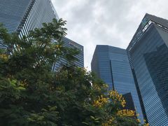 -无招牌海鲜餐厅(滨海艺术中心店)