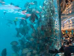 -瑞德姆美人鱼海底演艺主题餐厅(亚龙湾店)