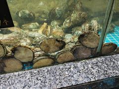 -渔码头食府(蓬莱阁店)
