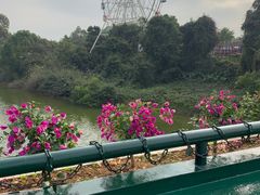 -观澜湖生态运动公社