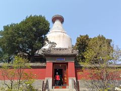 -妙应寺白塔