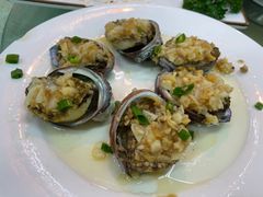 鲍鱼-景好海鲜餐厅(大鹏必选旅游店)