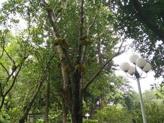 -人民公园(罗湖区)