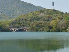 -杭州半山国家森林公园