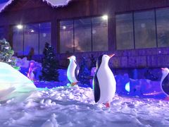 -世界之窗阿尔卑斯冰雪世界
