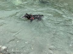-虹口漂流