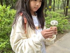 -永定河休闲森林公园