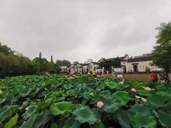 -清漾毛氏文化村