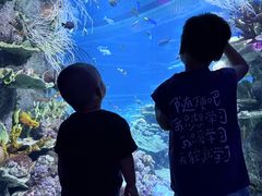 -欢乐海岸海洋奇梦馆