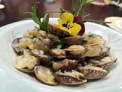 -外滩1288花园丽舍