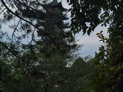 -上海方塔园