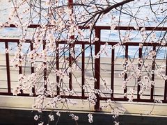 -颐和园