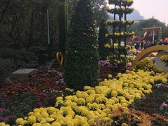 -南山植物园