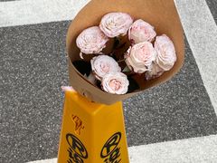 -溪岸路花鸟市场