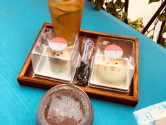 -柴犬高等学院·狗咖·柴犬售卖·宠物训练