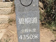 -梧桐山风景名胜区