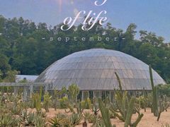-深圳仙湖植物园