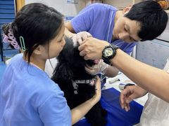 -博特宠物医院24h犬猫全科.骨科·异宠
